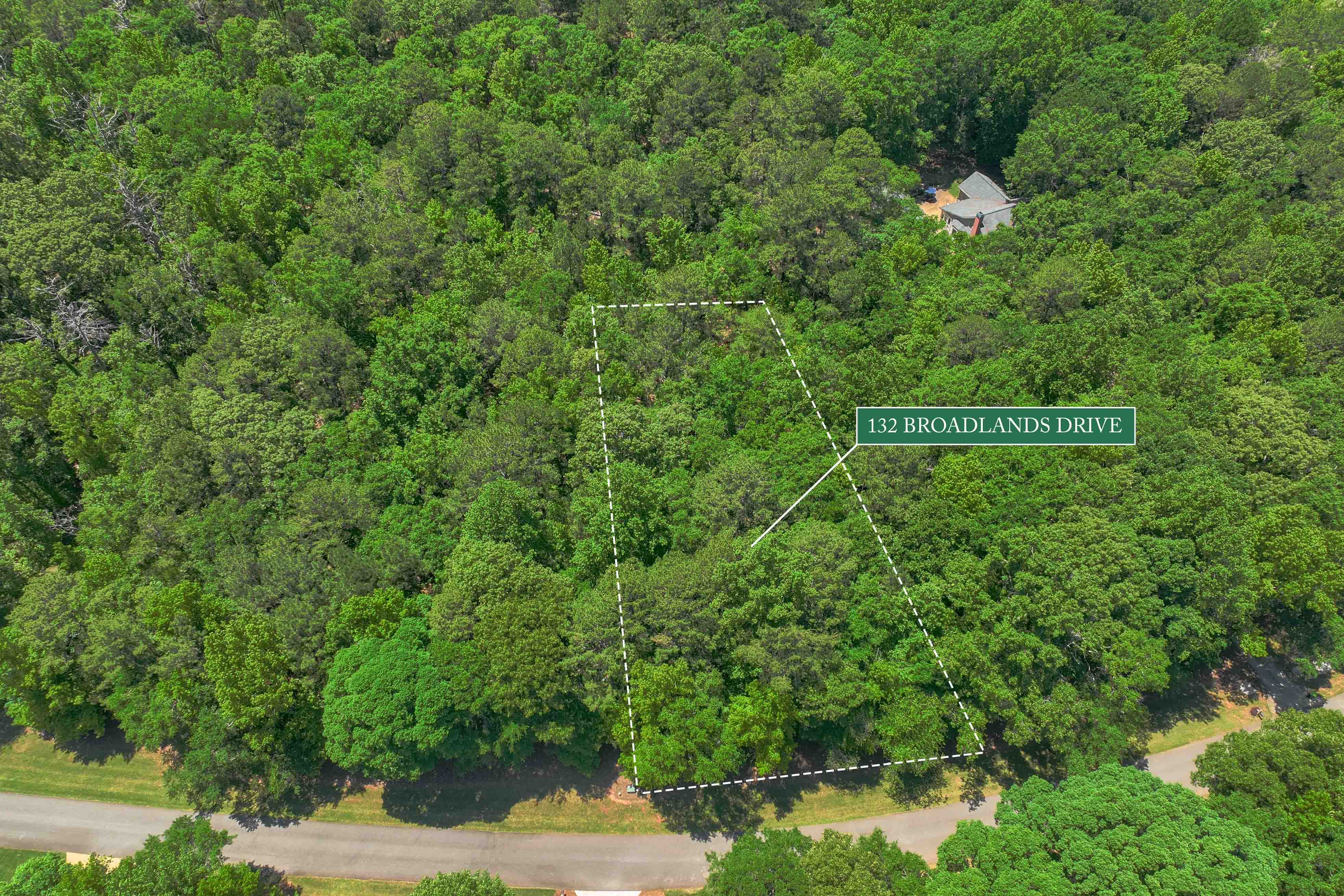 132 Broadlands Drive image 4
